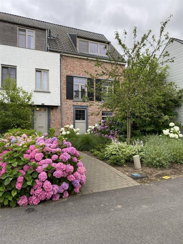 Benedenverdieping te  huur in Berlaar 2590 850.00€ 2 slaapkamers 100.00m² - Zoekertje 554053