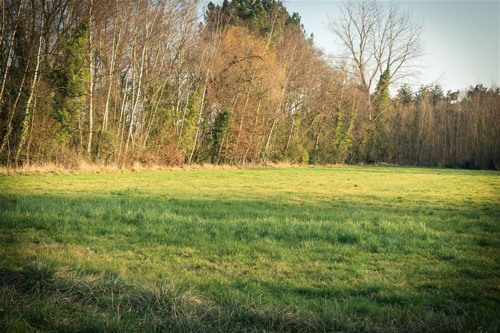 Niet bebouwbare grond te  koop in Putte 2580 39000.00€  slaapkamers m² - Zoekertje 568020