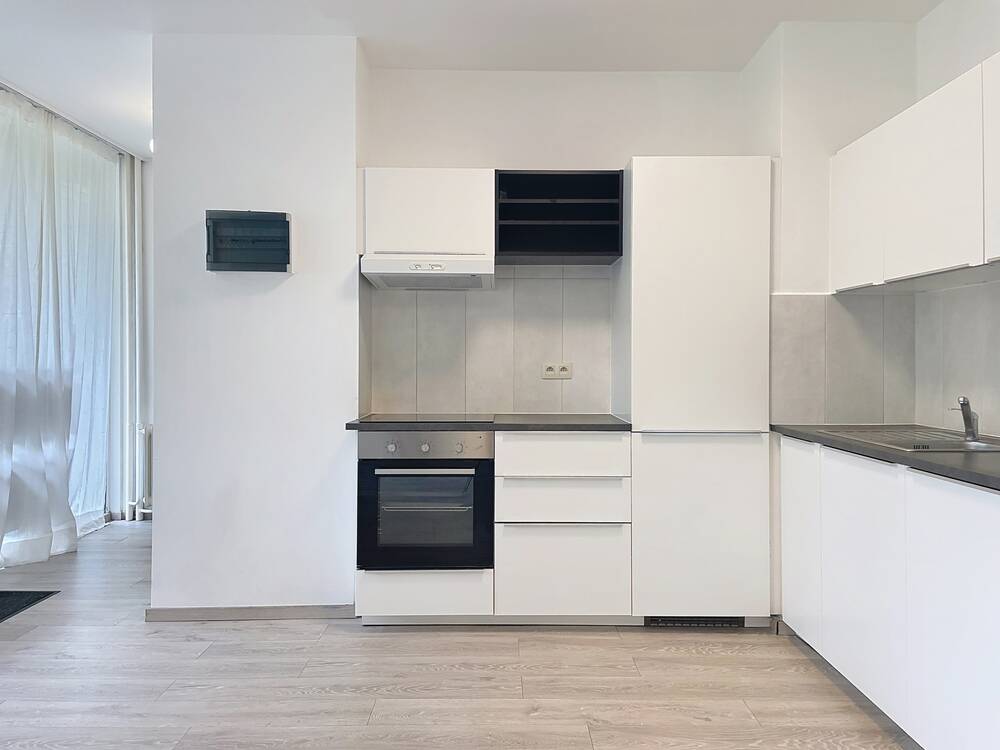 Studio te  huur in Borgerhout 2140 650.00€ 0 slaapkamers 49.00m² - Zoekertje 584004