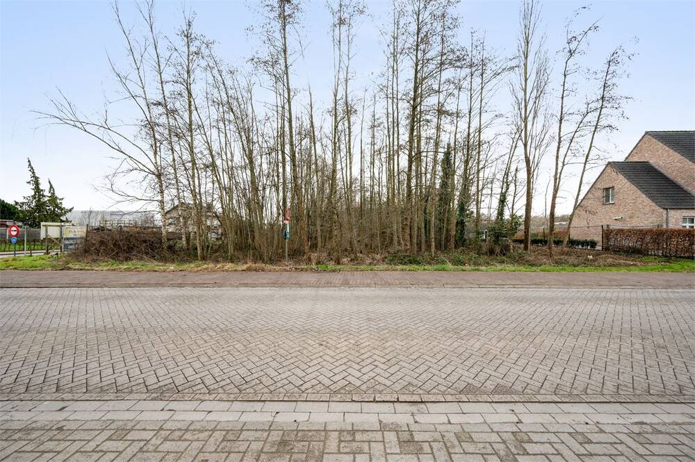 Grond te koop in Heist-op-den-Berg 2220 285000.00€ slaapkamers m² - Zoekertje 590410