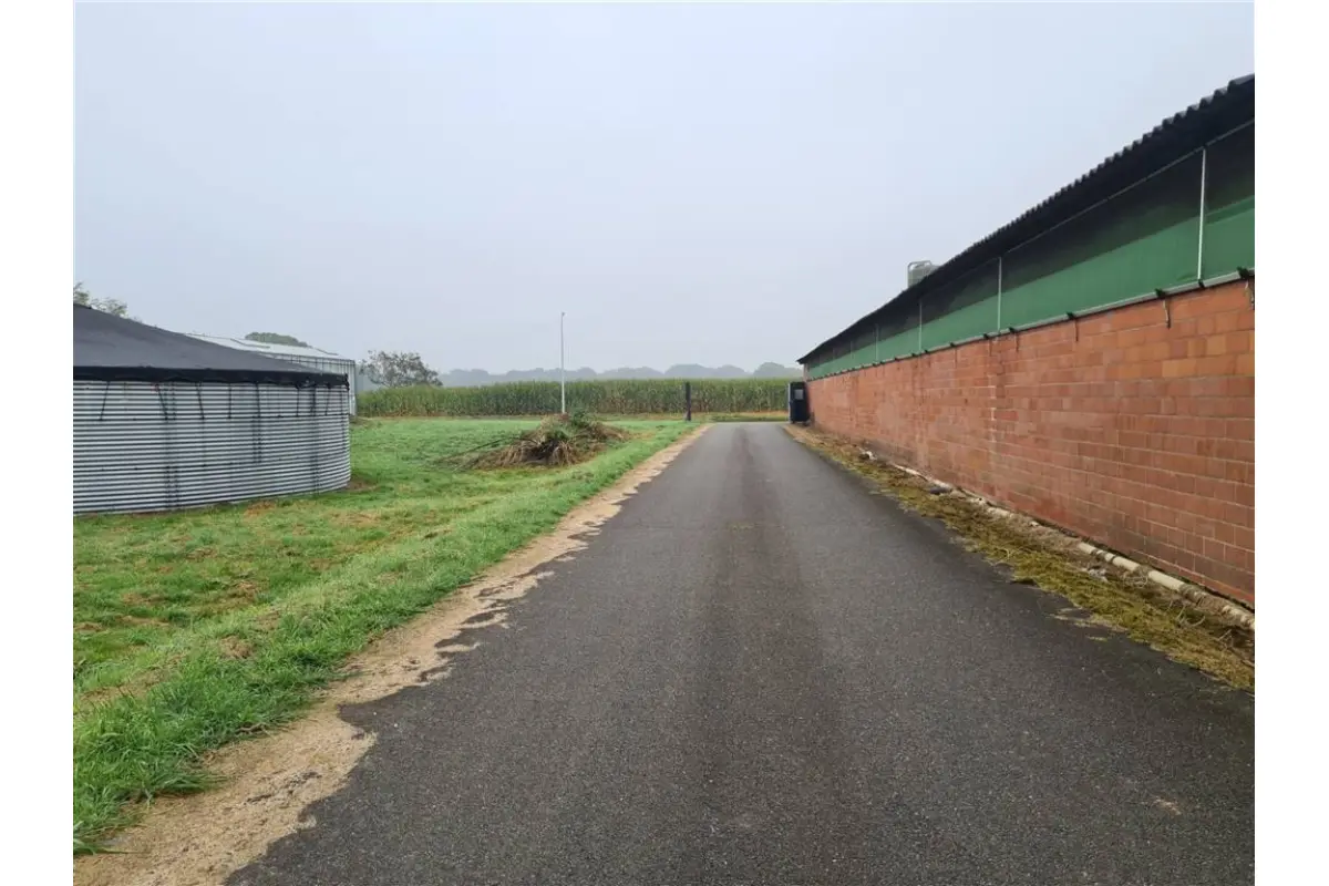 Handelszaak te  huur in Merksplas 2330 800.00€  slaapkamers m² - Zoekertje 594199