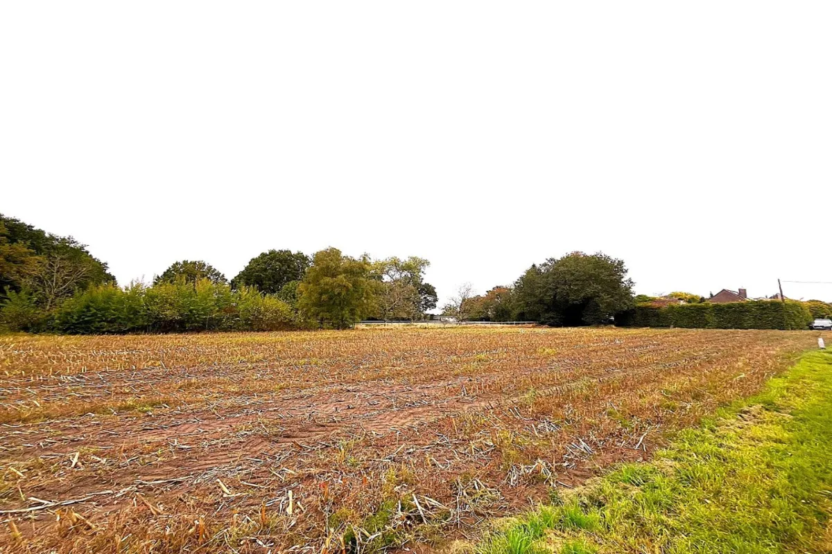 Bouwgrond te  koop in Geel 2440 219000.00€  slaapkamers m² - Zoekertje 598369