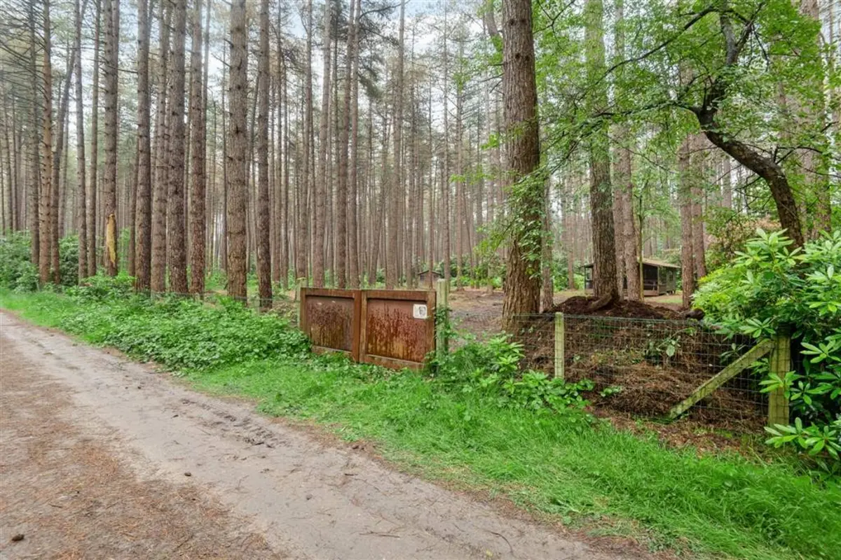 Niet bebouwbare grond te  koop in Gierle 2275 45000.00€  slaapkamers m² - Zoekertje 614285