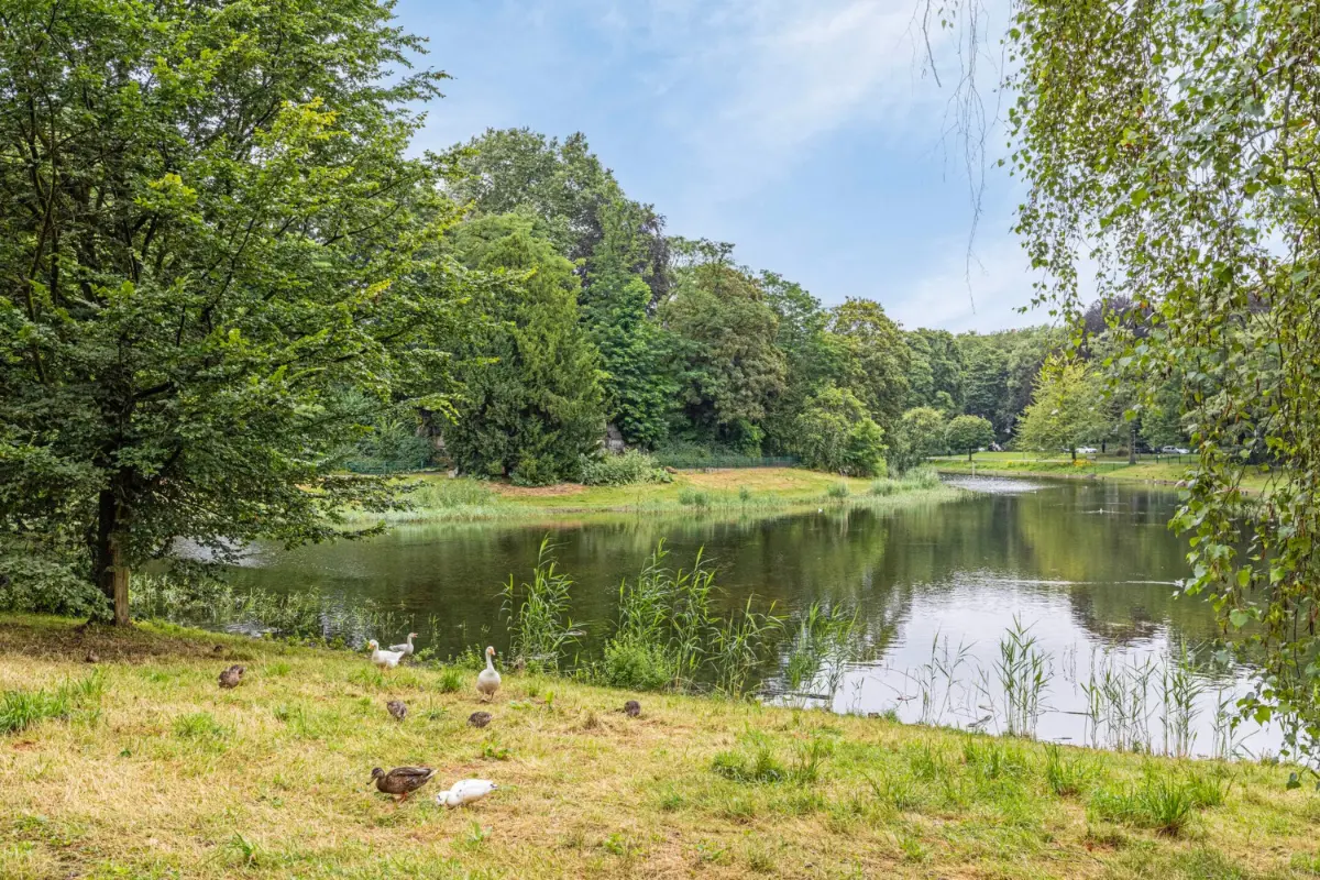 Appartement te  in Antwerpen 2018 369000.00€ 3 slaapkamers 116.00m² - Zoekertje 628132