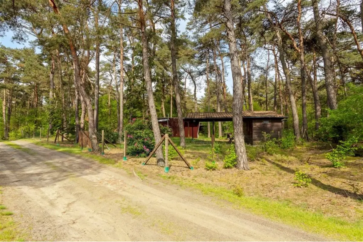 Niet bebouwbare grond te  koop in Balen 2490 40000.00€  slaapkamers m² - Zoekertje 648967