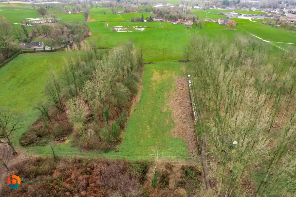 Grond te  koop in Beerzel 2580 24000.00€  slaapkamers m² - Zoekertje 663095