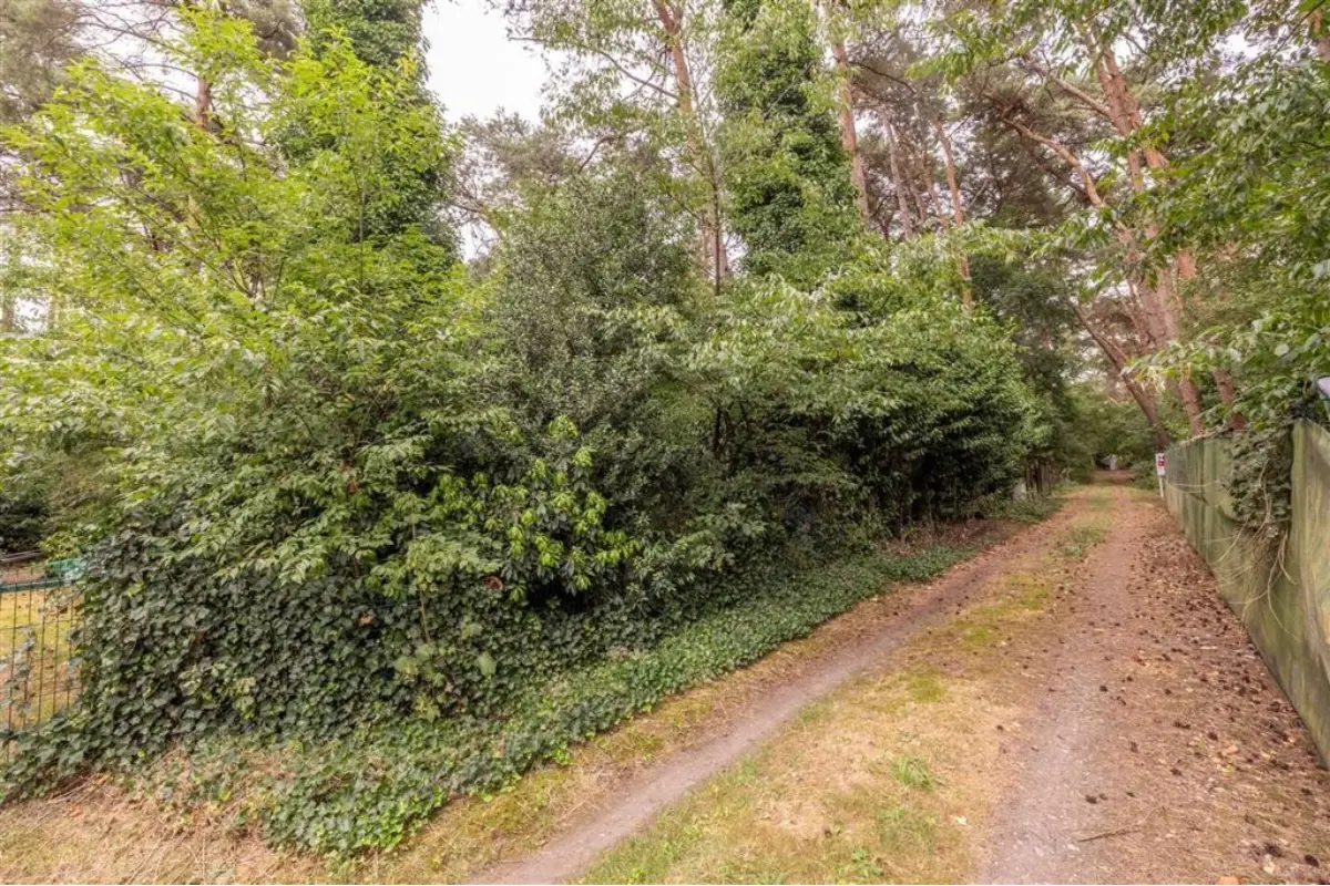 Niet bebouwbare grond te  koop in Vorselaar 2290 20000.00€  slaapkamers m² - Zoekertje 663191