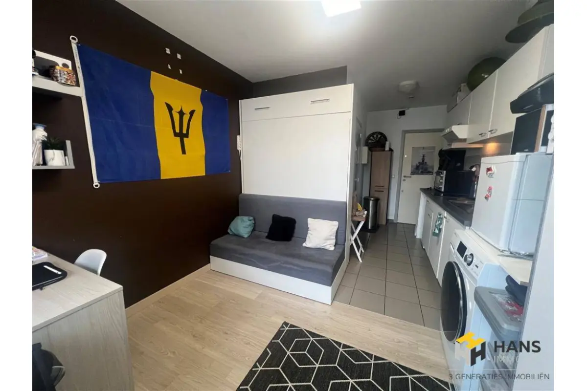 Studio te  huur in Antwerpen 2000 590.00€ 1 slaapkamers 20.00m² - Zoekertje 668016