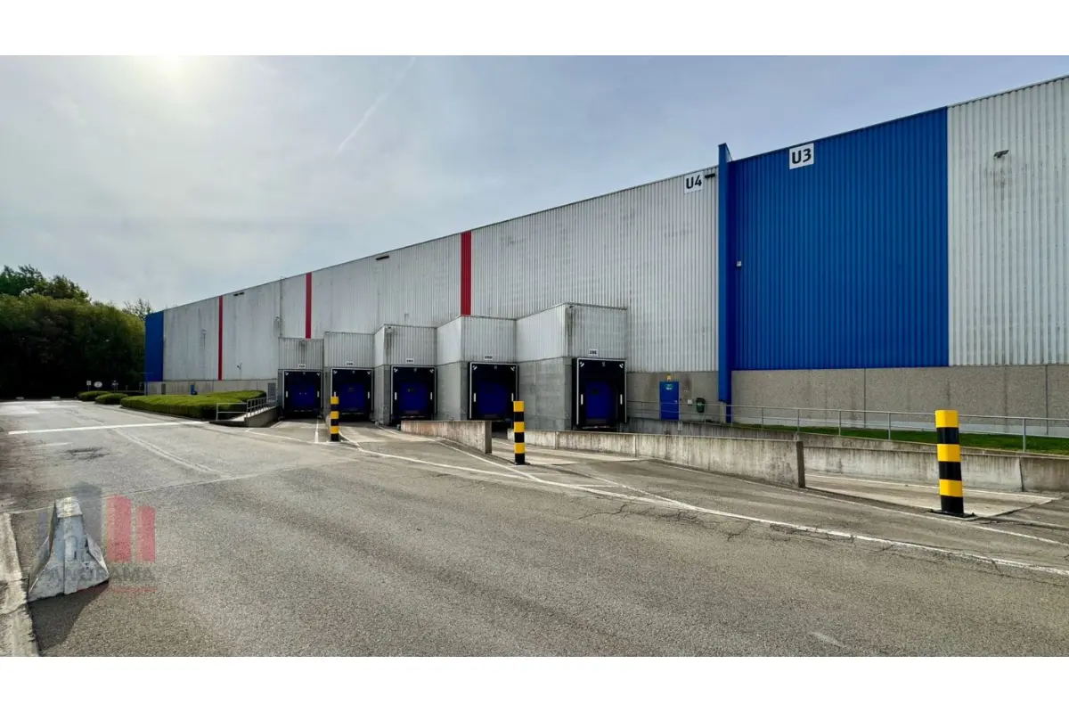 Handelszaak te  huur in Willebroek 2830 74458.00€  slaapkamers m² - Zoekertje 682706