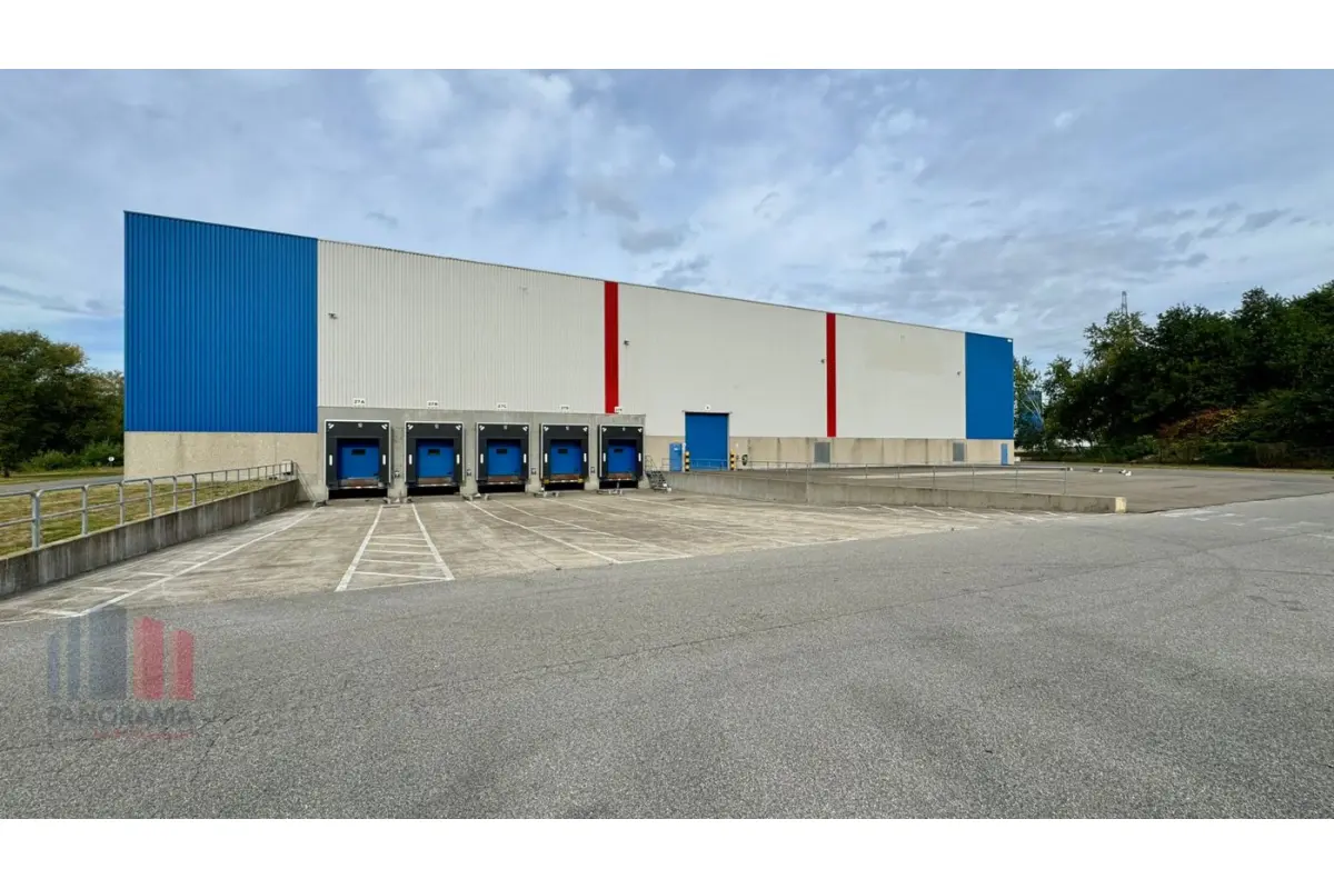 Handelszaak te  huur in Willebroek 2830 74390.00€  slaapkamers m² - Zoekertje 682704