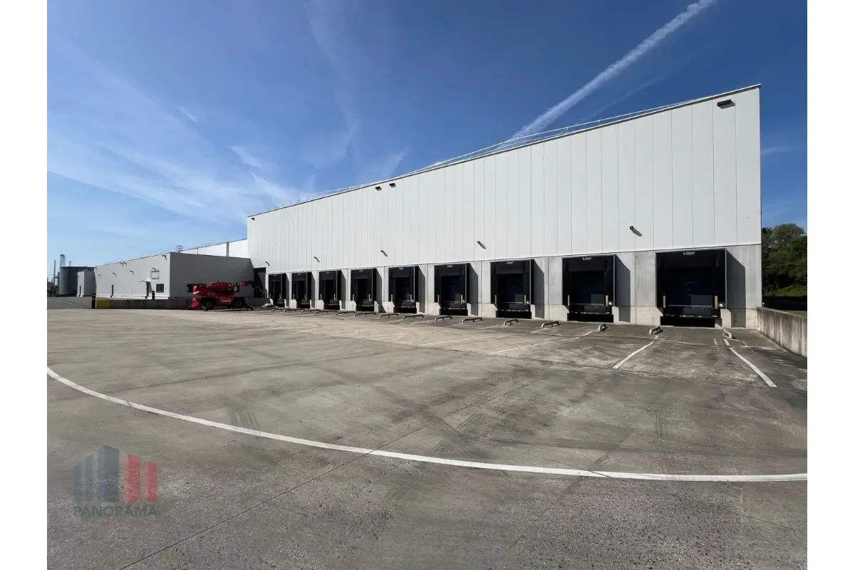 Handelszaak te  huur in Willebroek 2830 46275.00€  slaapkamers 9255.00m² - Zoekertje 685932