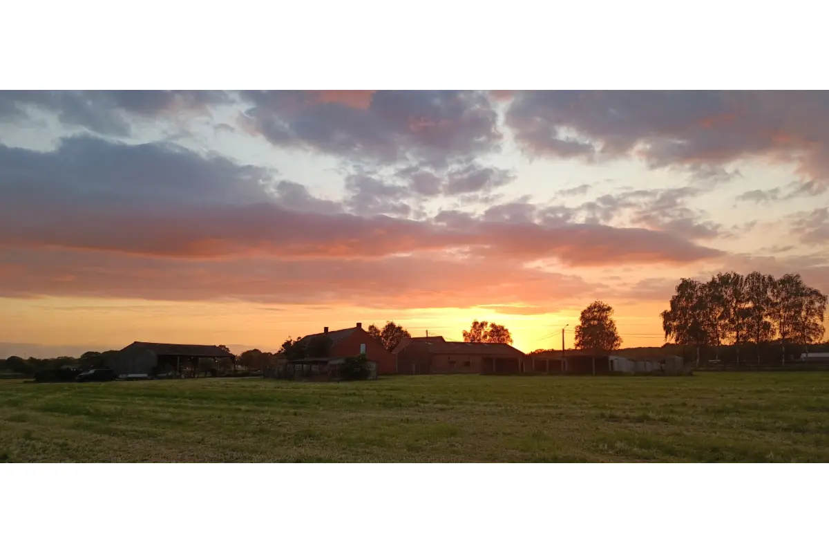 Handelszaak te  koop in Morkhoven 2200 950000.00€  slaapkamers m² - Zoekertje 714357