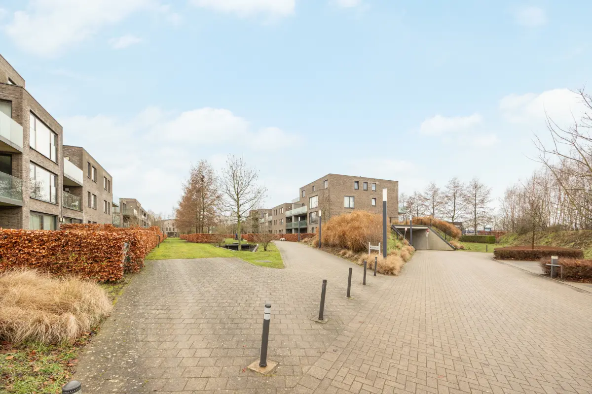 Benedenverdieping te  koop in Wijnegem 2110 349000.00€ 2 slaapkamers 97.00m² - Zoekertje 717612