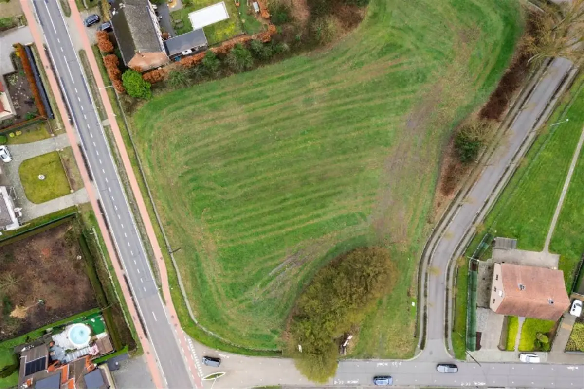 Grond te  koop in Herselt 2230 156500.00€  slaapkamers m² - Zoekertje 719084