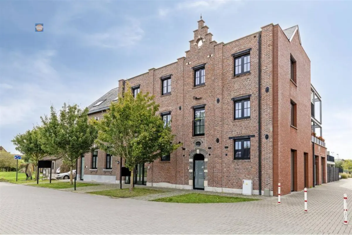Penthouse te  koop in Oppuurs 2890 565000.00€ 2 slaapkamers 125.00m² - Zoekertje 724741