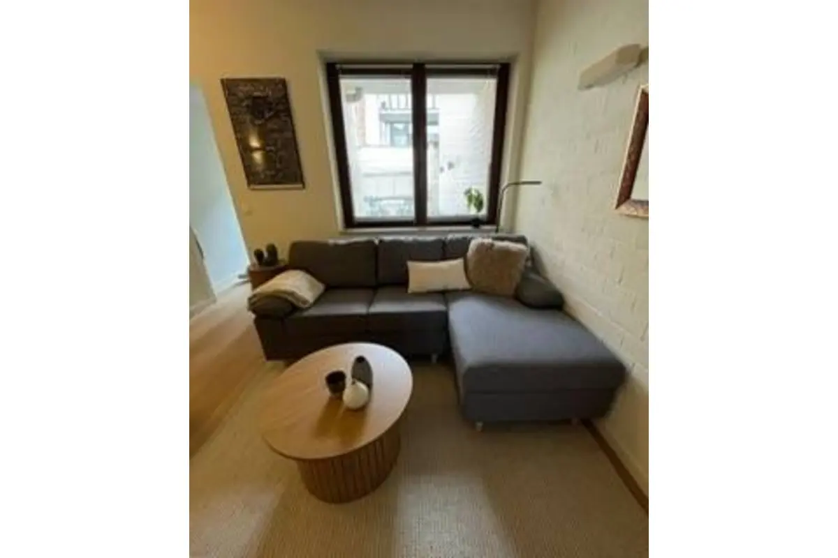 Appartement te  huur in Antwerpen 2000 1020.00€ 1 slaapkamers 55.00m² - Zoekertje 728851