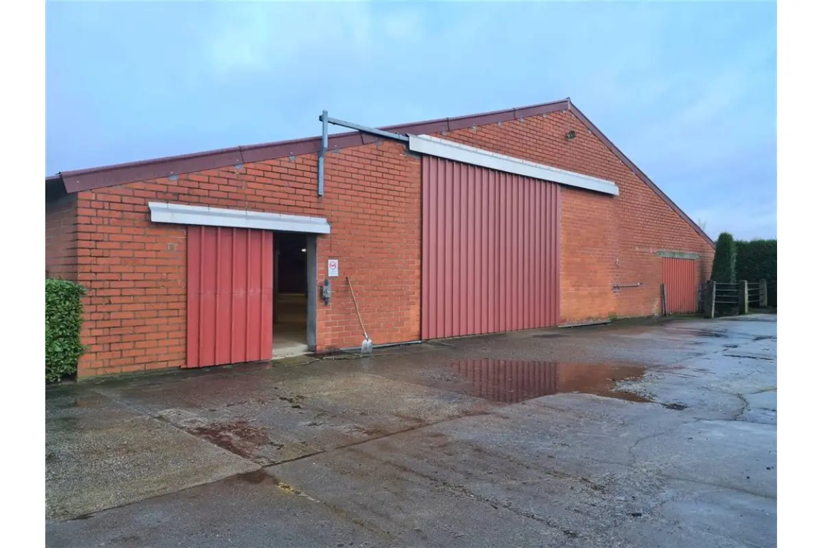 Handelszaak te  huur in Gierle 2275 1750.00€  slaapkamers m² - Zoekertje 742402