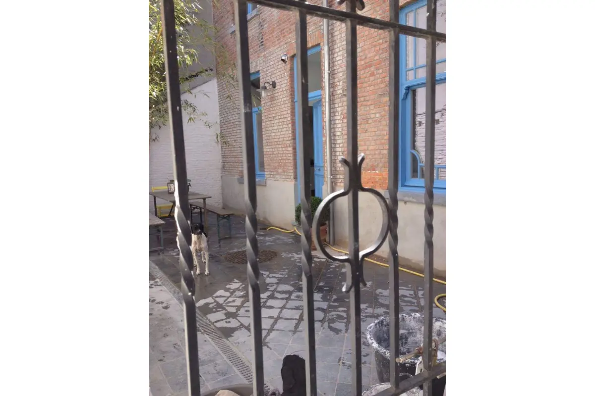 Huis te  koop in Antwerpen 2060 560000.00€ 1 slaapkamers 75.00m² - Zoekertje 745233