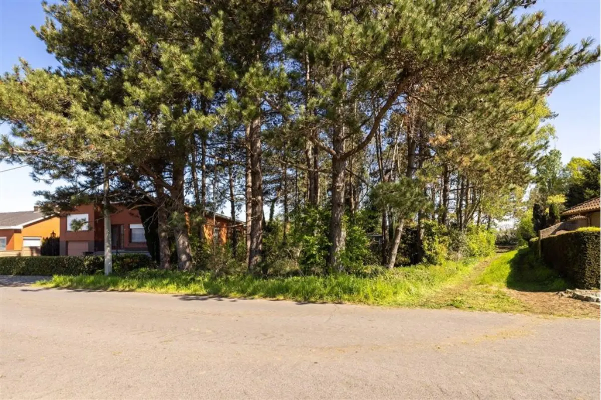 Grond te  koop in Berlaar 2590 215000.00€  slaapkamers m² - Zoekertje 745614