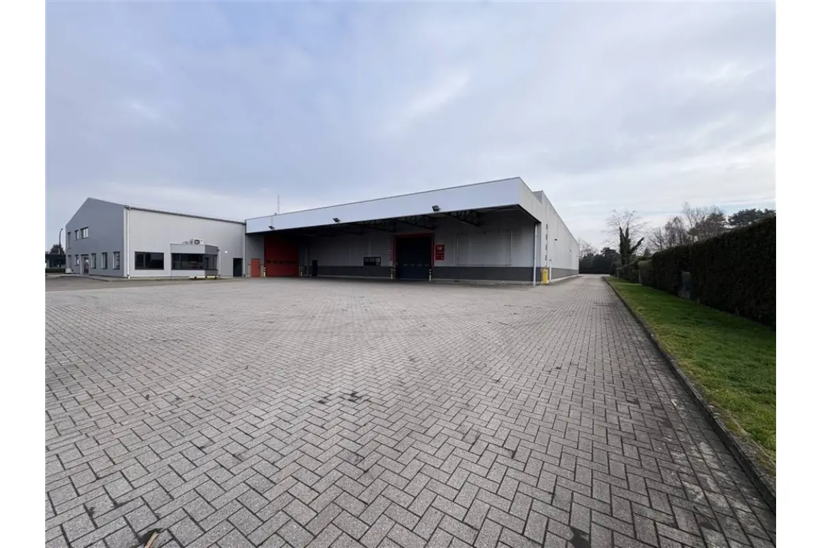 Handelszaak te  huur in Lille 2275 8750.00€  slaapkamers m² - Zoekertje 753500