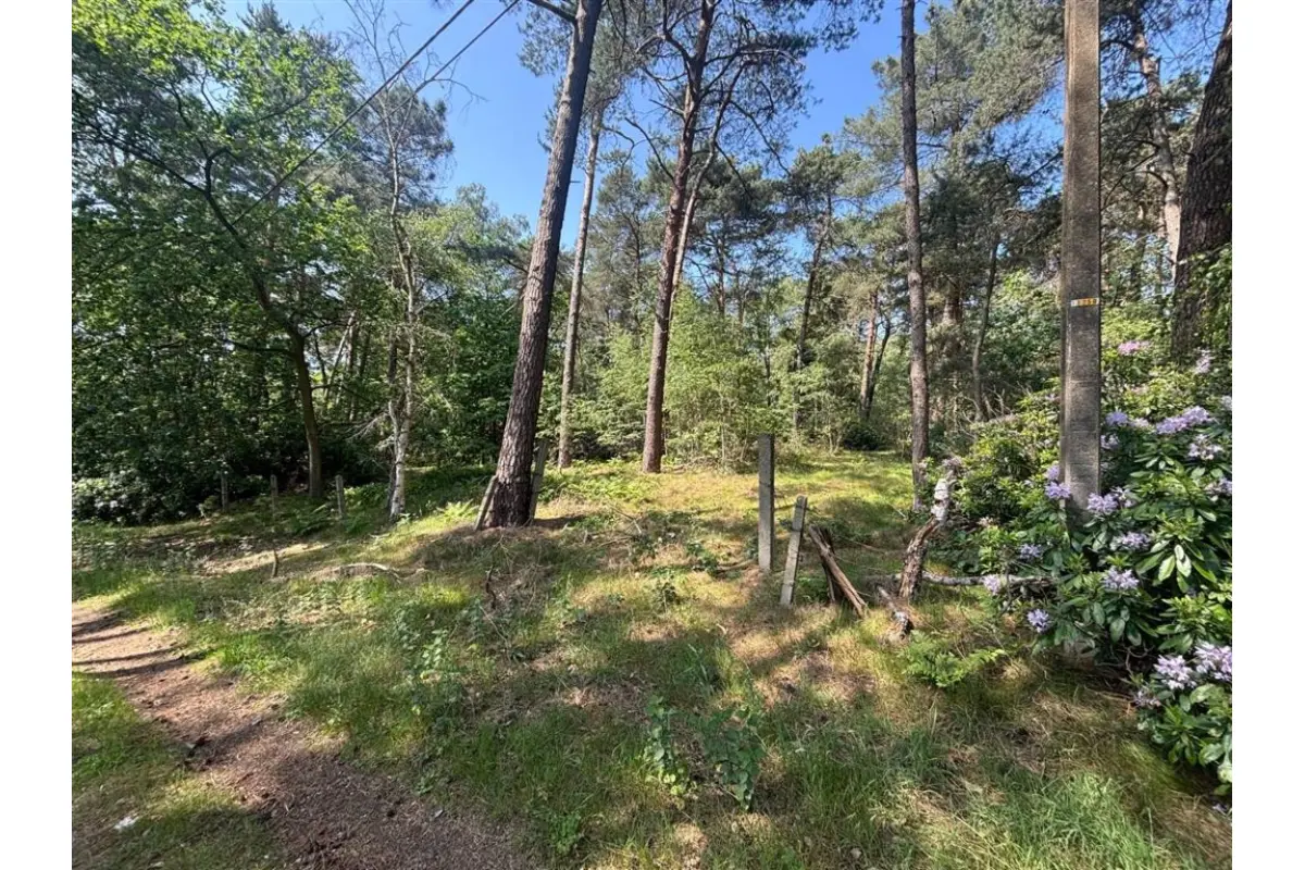 Niet bebouwbare grond te  koop in Meerhout 2450 19000.00€  slaapkamers m² - Zoekertje 792469