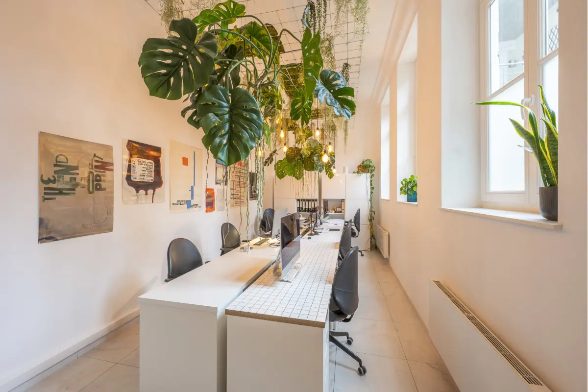 Handelszaak te  huur in Mechelen 2800 1450.00€  slaapkamers 64.00m² - Zoekertje 792898