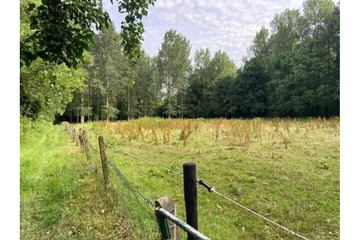 Niet bebouwbare grond te  koop in Vorst 2430 58000.00€  slaapkamers m² - Zoekertje 805541